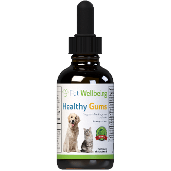 Healthy Gums for Canine Periodontal Health